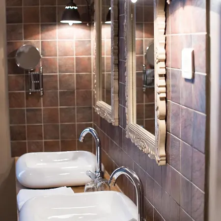 O'palmier Caché Saint-Marcel-sur-Aude