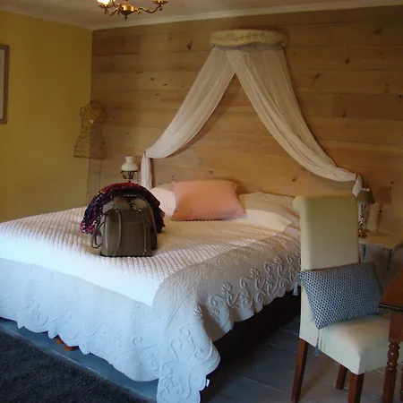 O'palmier Cache Bed & Breakfast Saint-Marcel-sur-Aude