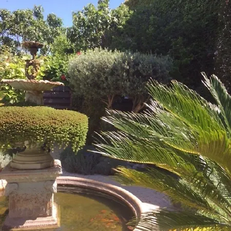 O'palmier Caché Saint-Marcel-sur-Aude