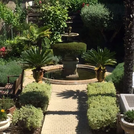 O'palmier Caché Saint-Marcel-sur-Aude