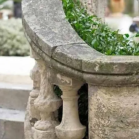 O'palmier Cache Oda ve Kahvaltı