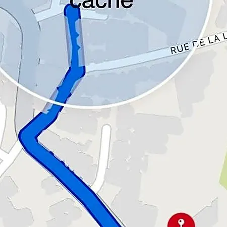 O'palmier Cache 4*