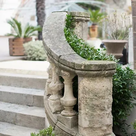 O'palmier Caché Saint-Marcel-sur-Aude