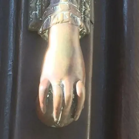 O'palmier Cache Saint-Marcel-sur-Aude