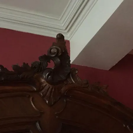 O'palmier Caché Saint-Marcel-sur-Aude