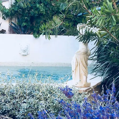 O'palmier Caché Saint-Marcel-sur-Aude