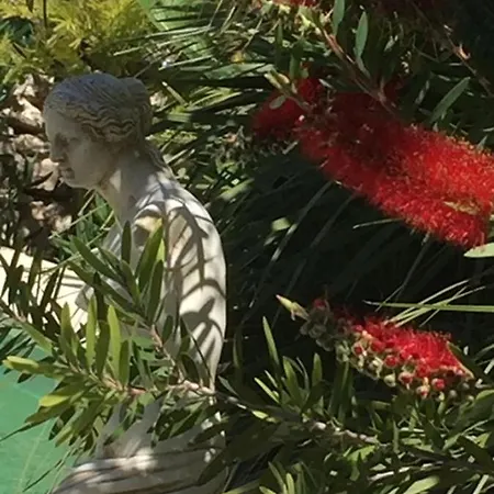 Bed & Breakfast O'palmier Cache Saint-Marcel-sur-Aude